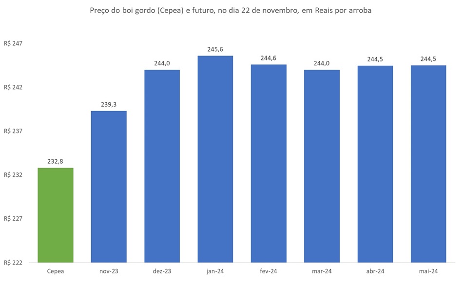 preço futuro do boi gordo