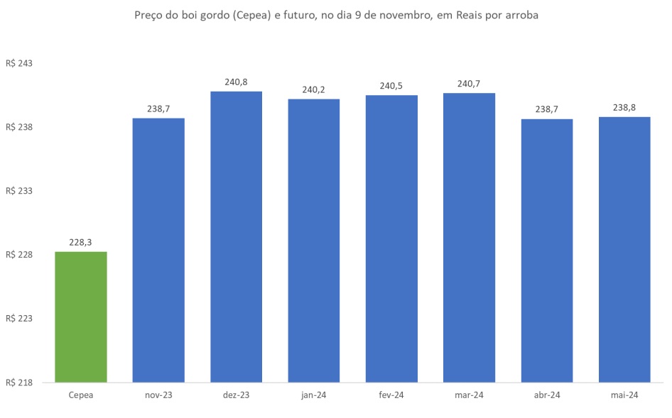 preço futuro do boi gordo