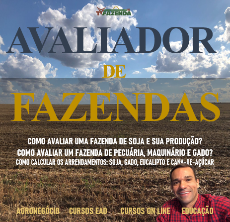 Alcançando o Topo em 8 Meses: Um Sucesso Surpreendente 13 Curso Avaliador de Fazendas