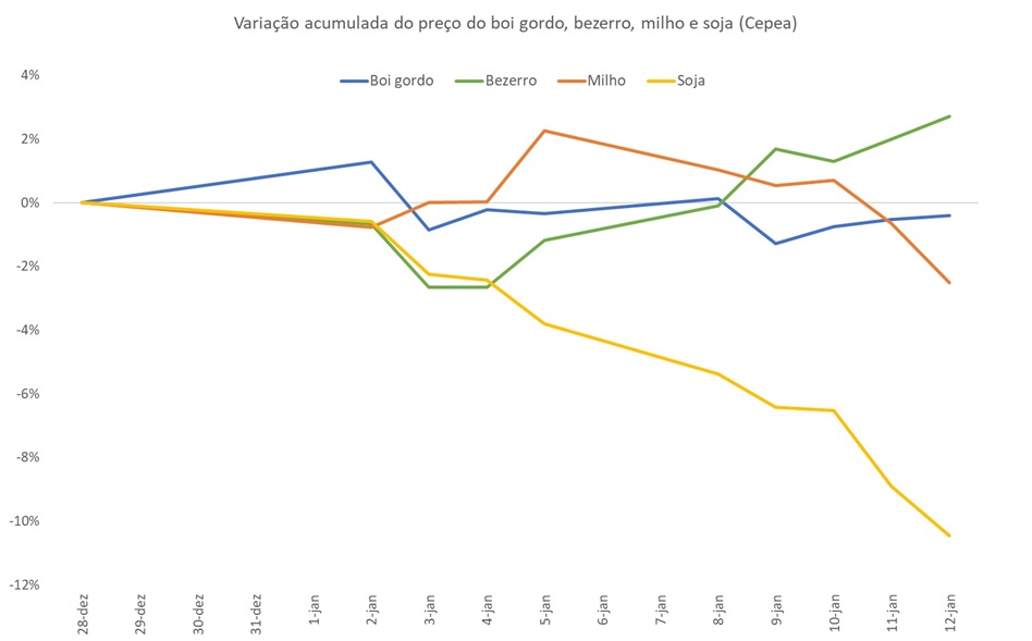 preço do boi gordo