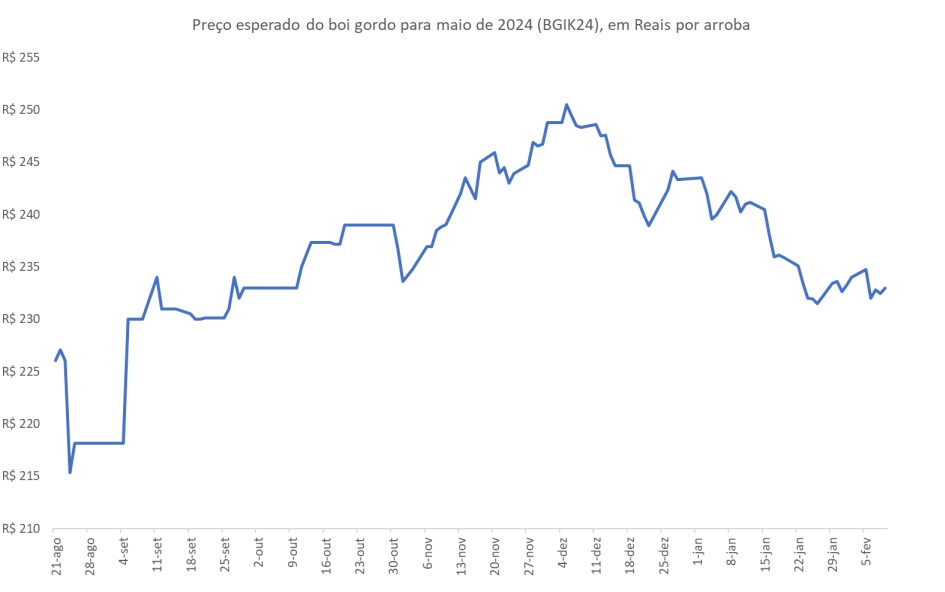 mercado futuro do boi