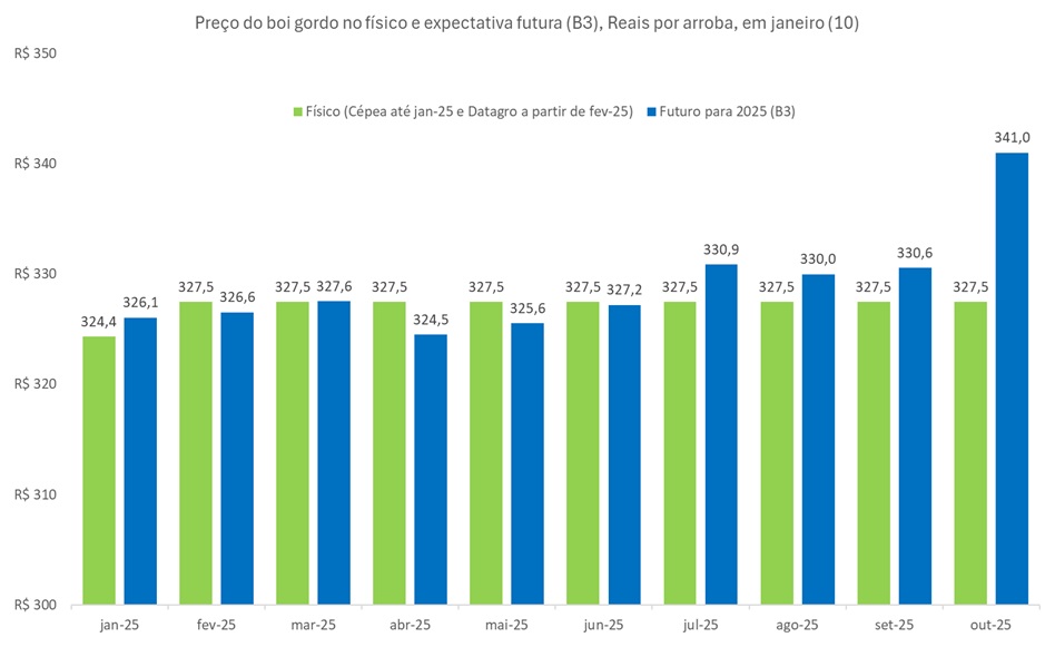 preço futuro do boi gordo