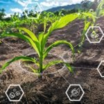 agricultura tropical