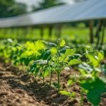 nova era do agro