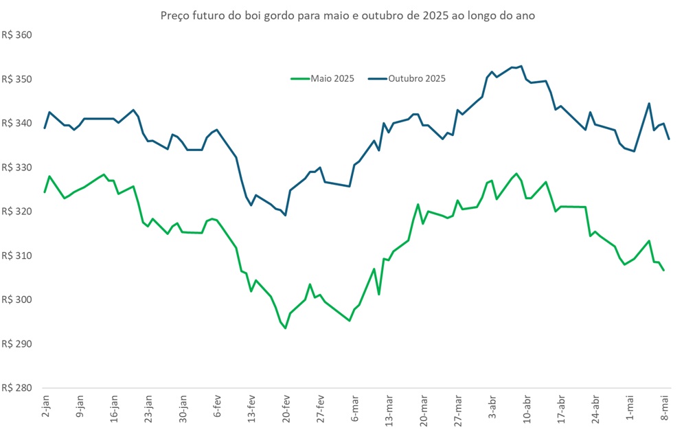 preço futuro do boi gordo
