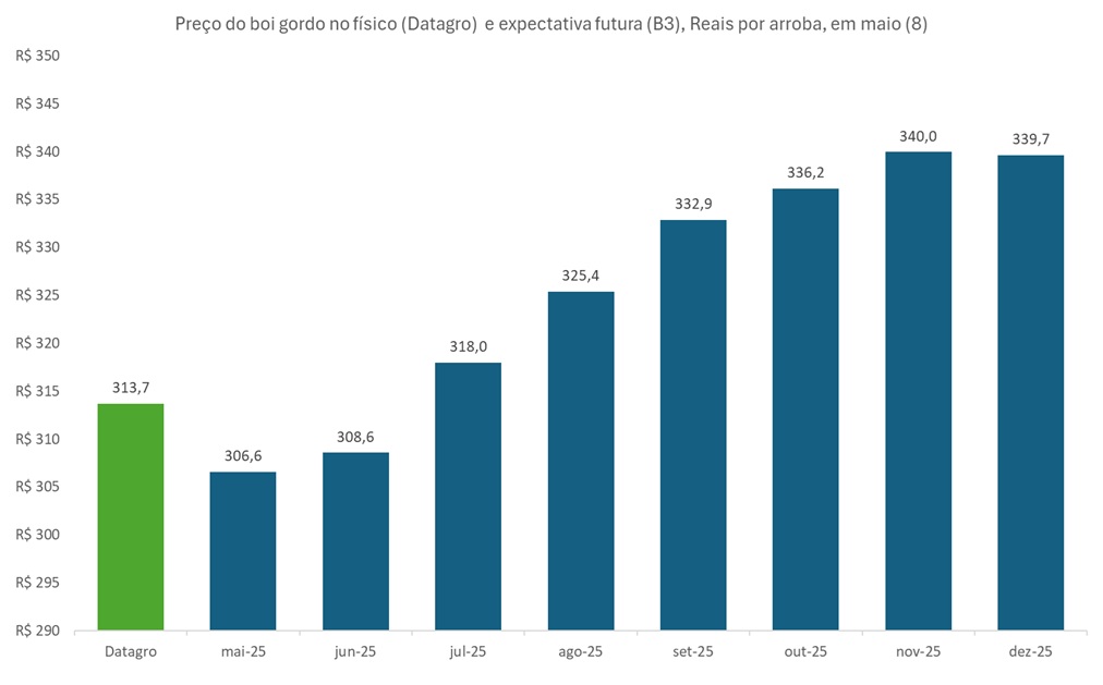 preço futuro do boi gordo