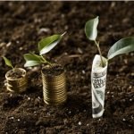 monetizar sustentabilidade