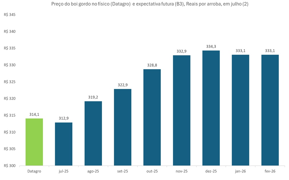 preço futuro do boi gordo