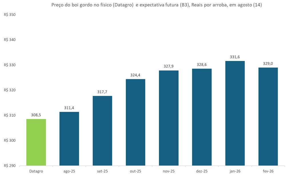 preço futuro do boi gordo