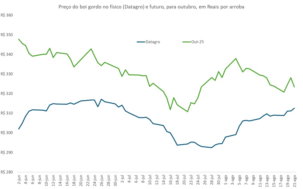 preço futuro do boi gordo
