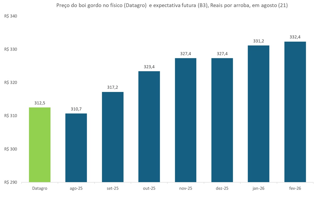 preço futuro do boi gordo