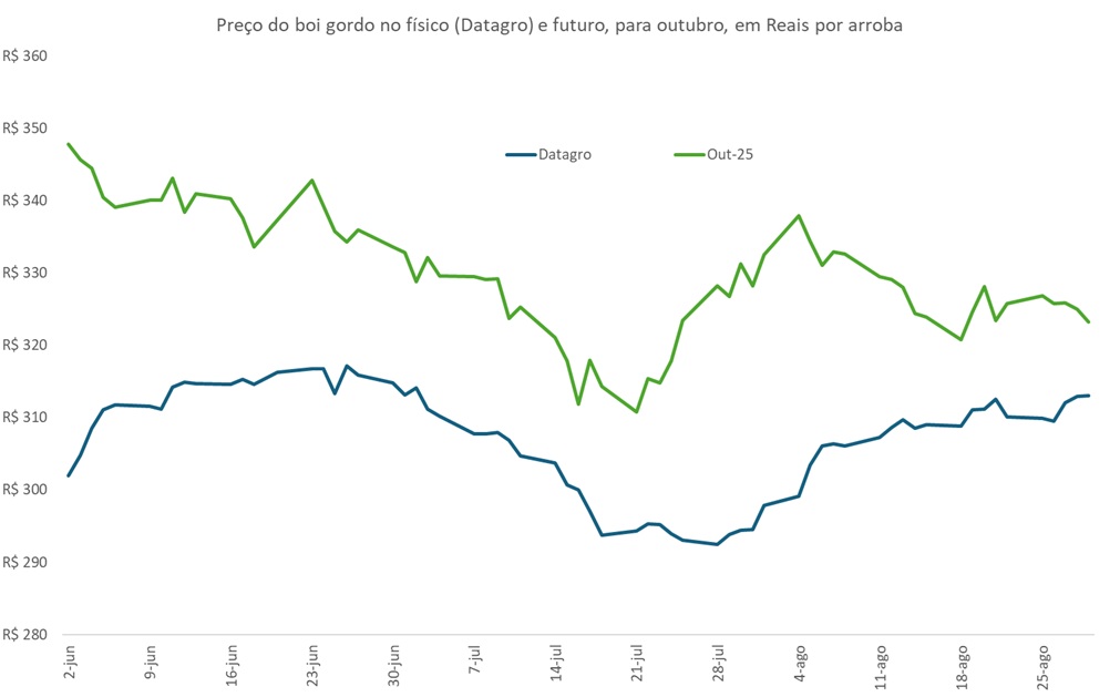 preço futuro do boi gordo