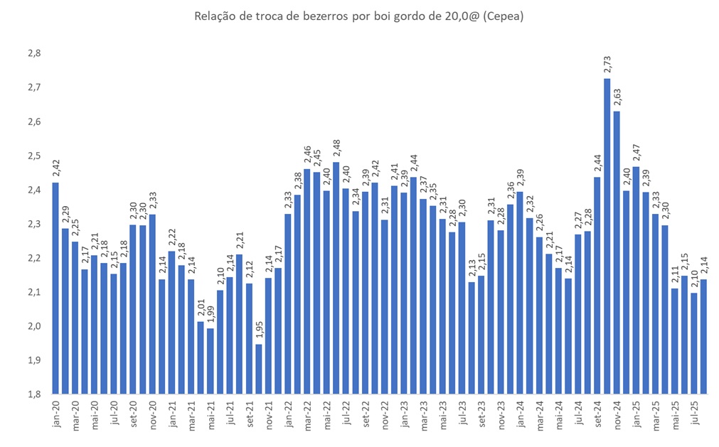 bezerros por boi gordo