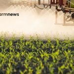 mercado ilegal de defensivos agrícolas