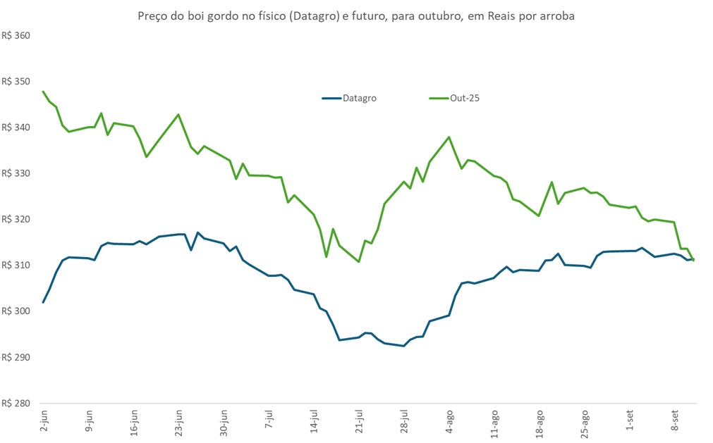 preço futuro do boi gordo