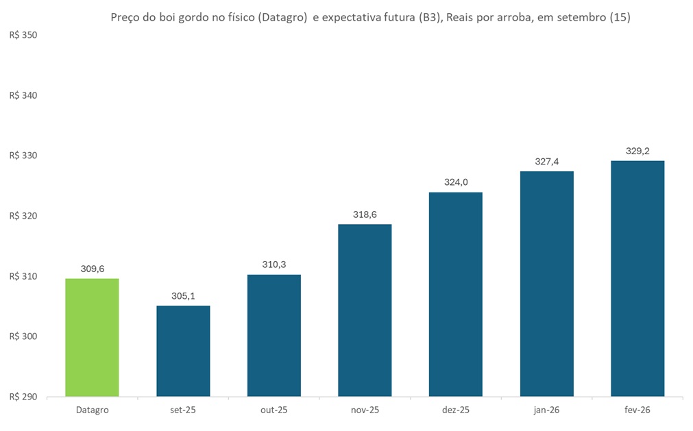 preço futuro do boi gordo