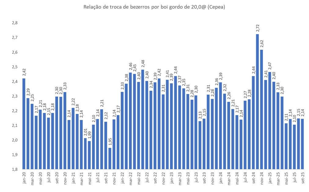 bezerros por boi gordo