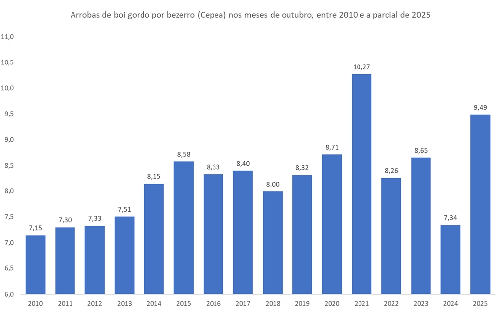 boi gordo por bezerro
