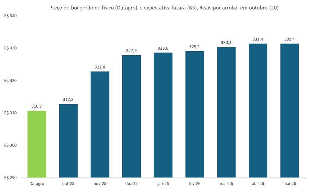 preço futuro do boi gordo