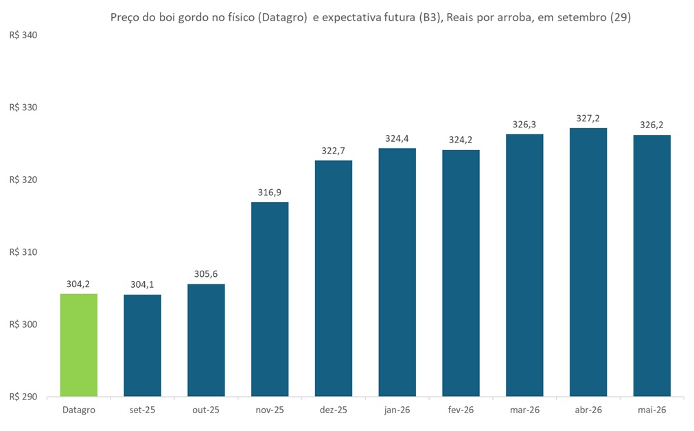 preço futuro do boi gordo
