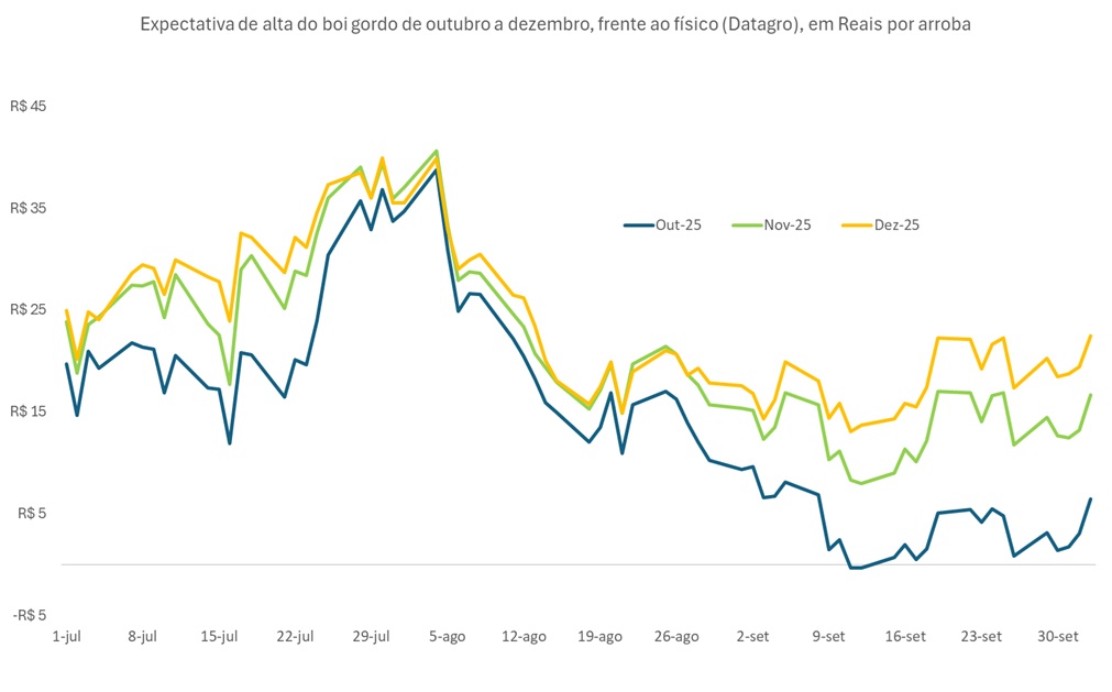 preço futuro do boi gordo