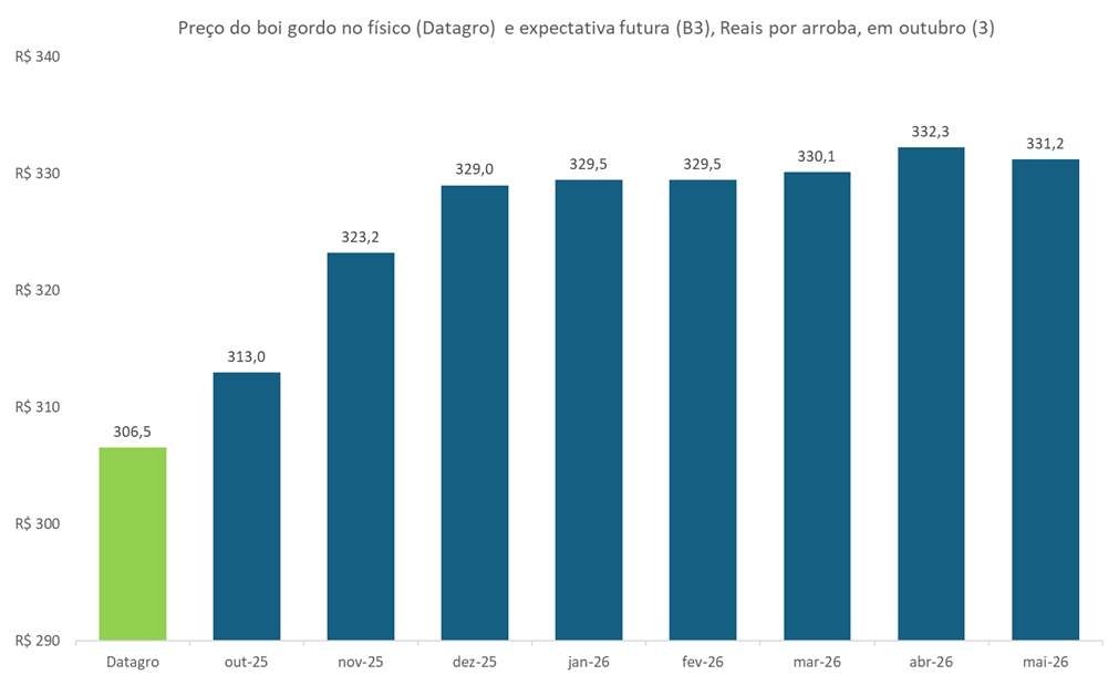 preço futuro do boi gordo