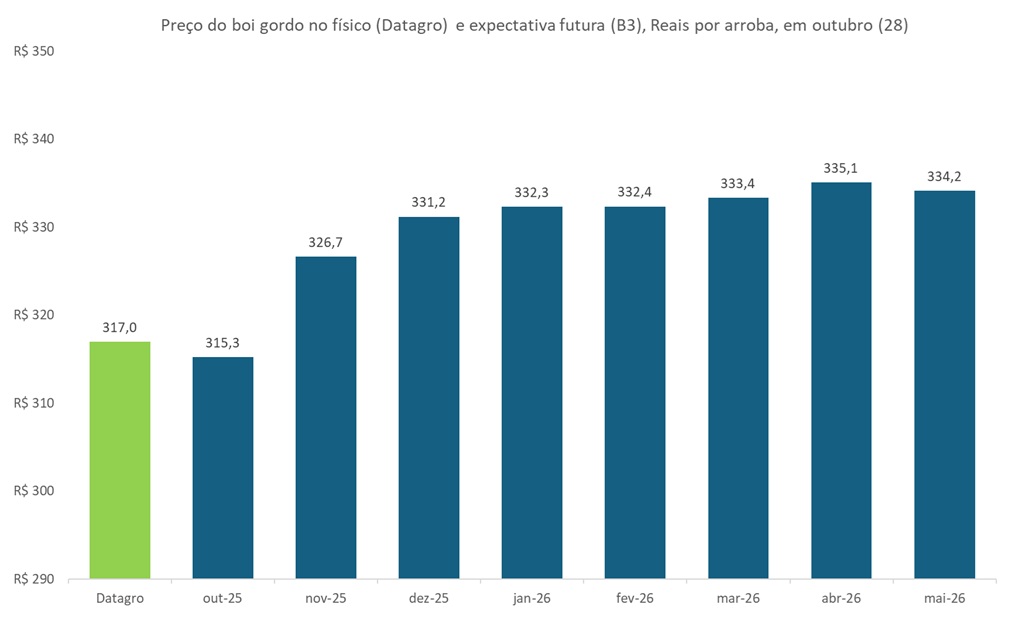 preço futuro do boi gordo