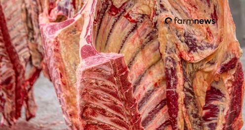 importação de carne bovina do Brasil