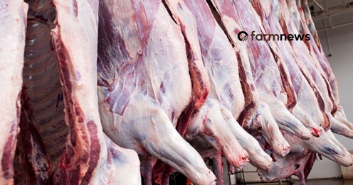 exportação de carne bovina