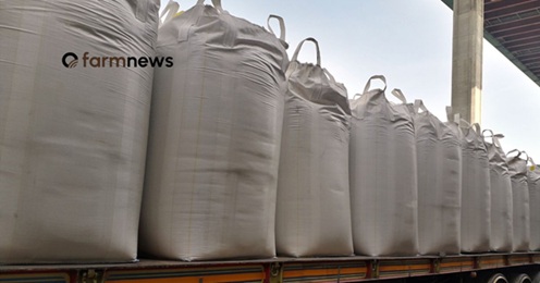 preço futuro da ureia