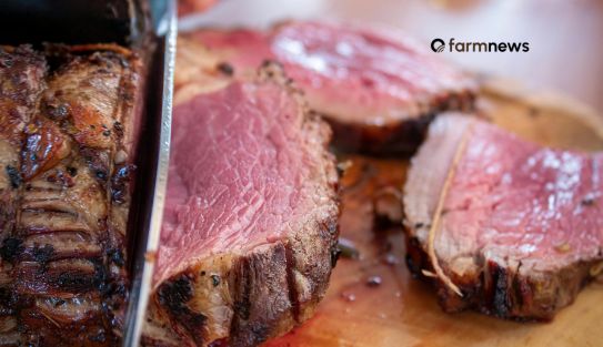 exportação de carne bovina