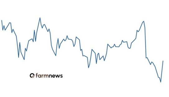 preço futuro do boi gordo