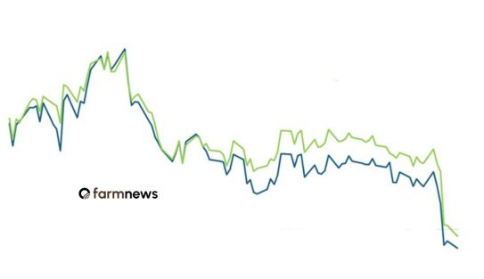 preço futuro do boi gordo