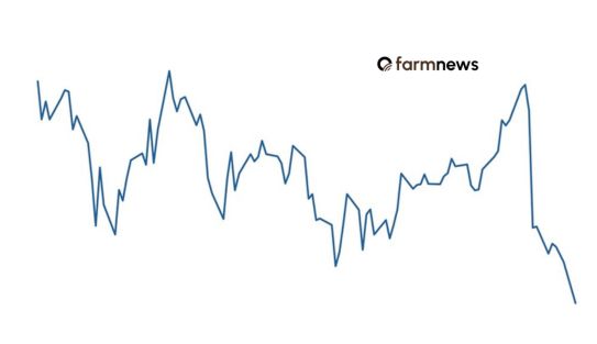 preço futuro do boi gordo