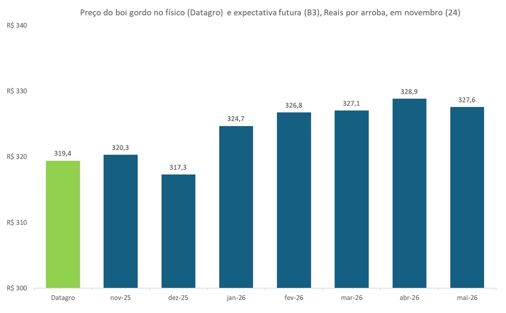 preço futuro do boi gordo