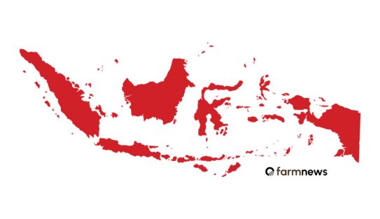 importação de carne bovina do Brasil