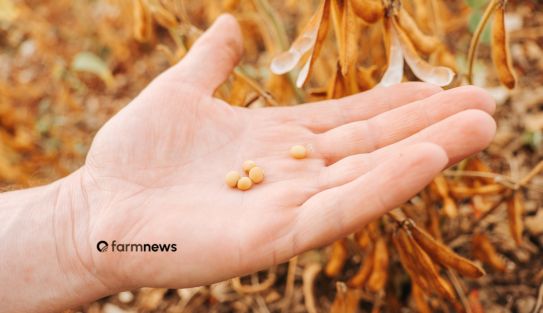 preço futuro da soja