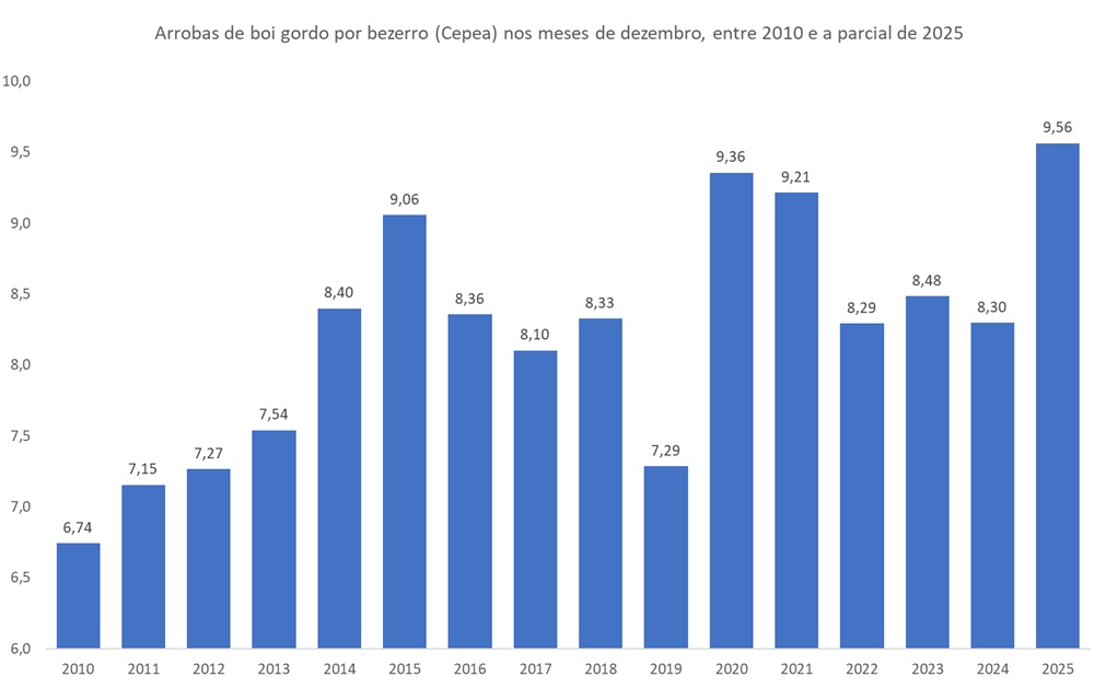 arrobas de boi gordo