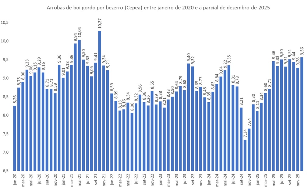 arrobas de boi gordo