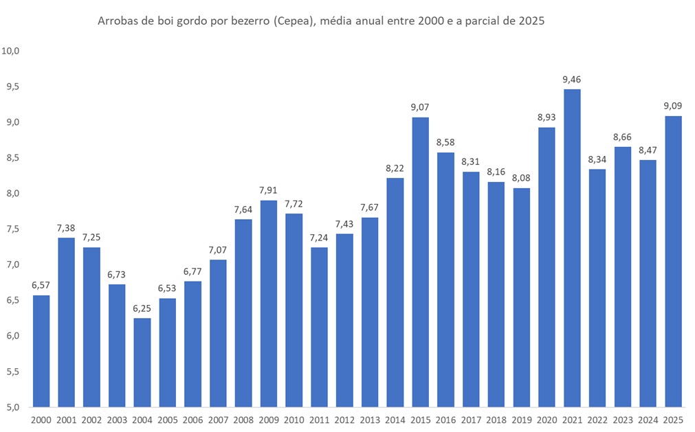arrobas de boi gordo