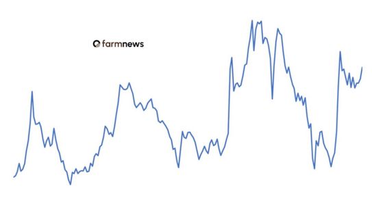 preço corrigido do boi gordo