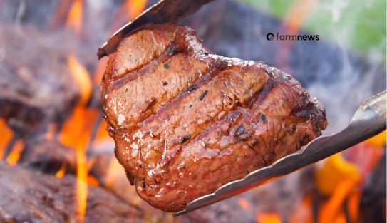 exportação de carne bovina