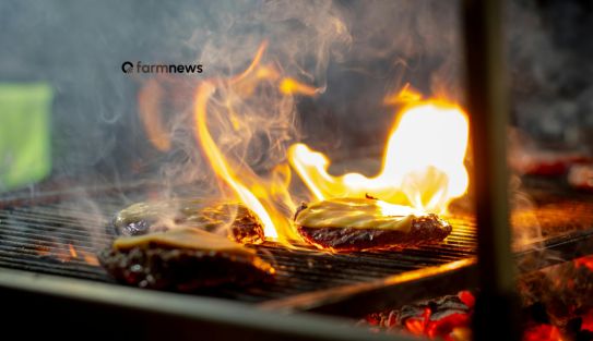 importação de carne bovina do Brasil pelos EUA