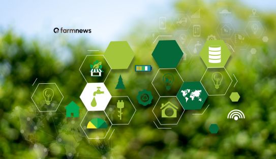 nova fronteira agrícola