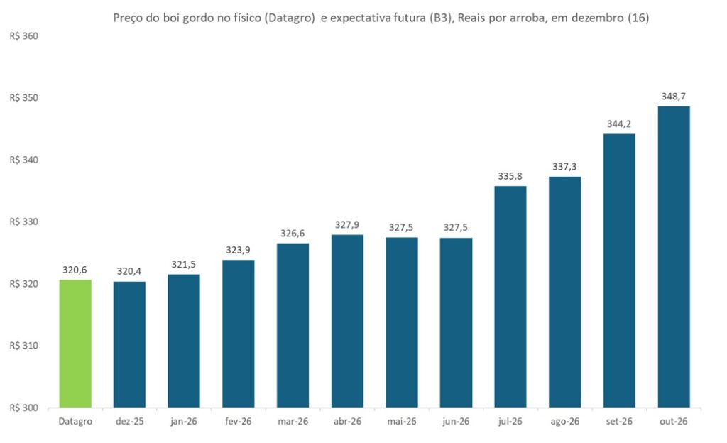preço futuro do boi gordo