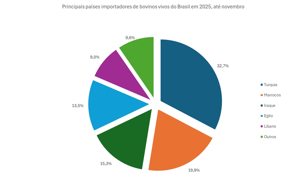principais importadores de bovinos vivos