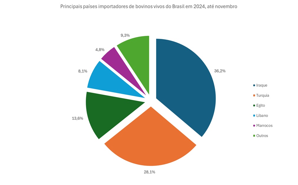 principais importadores de bovinos vivos