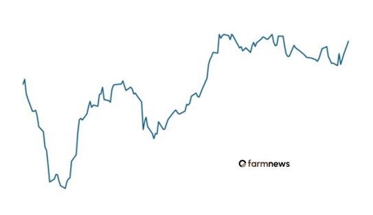 preço futuro do boi gordo