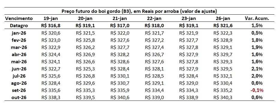preço futuro do boi gordo