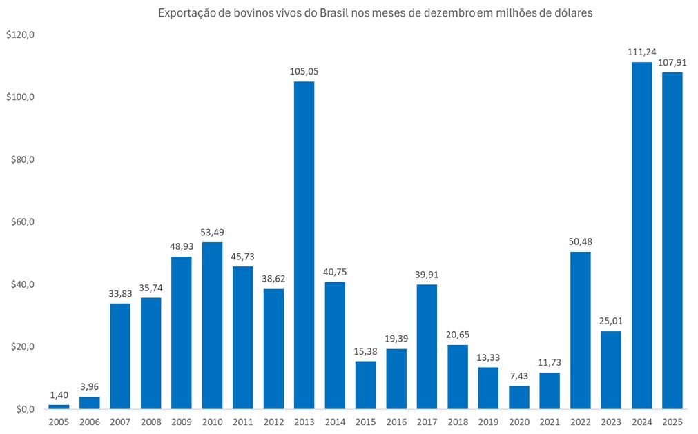 exportação de bovinos vivos